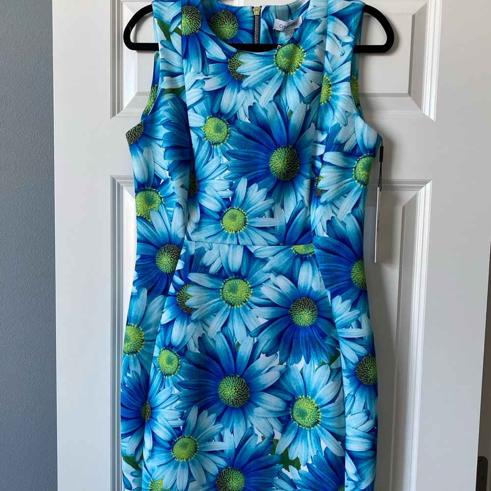 Calvin Klein dress